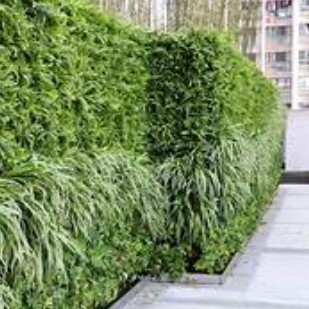保温材料哪种好?,蓝冠网站下载