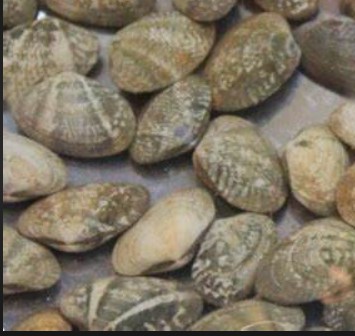 蓝冠注册验证码,蓝冠会员怎么登陆?