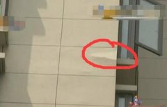 凤凰蓝冠注册_外墙保温材料墙体脱落元凶终于找到了
